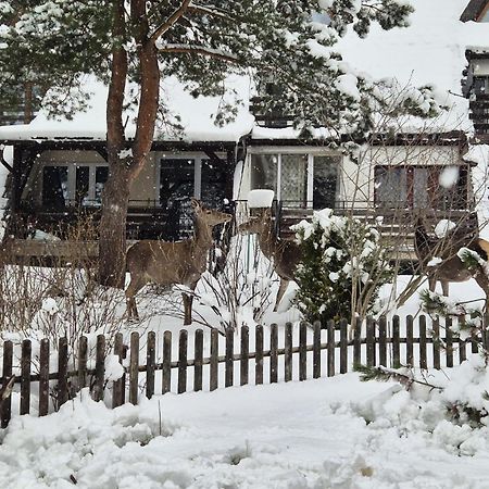 Apartament Wokol Stolu ザコパネ エクステリア 写真